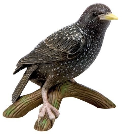 Goebel Bird of the Year 2018: Starling 38473181