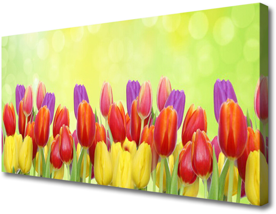 PL Tulup Obraz Canvas Tulipany Kwiaty Roślina 100x50cm