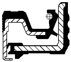 CORTECO Pierżcień uszczelniający wału, różnicowy 12019512B