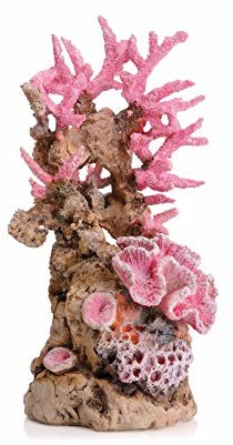 Oase OASE biorb rafa koralowa ornament, liliowy, różowy 46130.0
