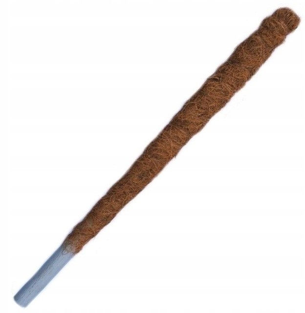 Palik Kokosowy tyczka podpora pnączy Gruby 120cm