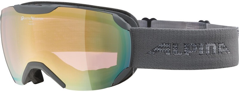 Alpina Pheos S QVMM Gogle, szary 2021 Gogle narciarskie 7242823