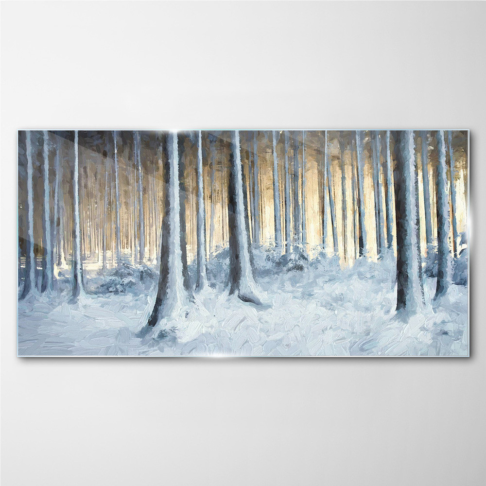 PL Coloray Obraz na Szkle Abstrakcja Zima Śnie Natura 100x50cm