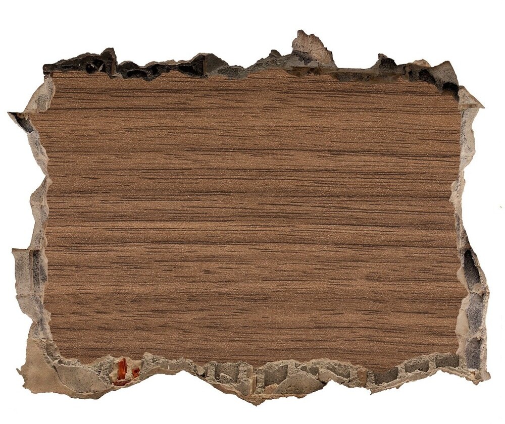 Wallmuralia.pl Naklejka 3D dziura na ścianę Różowy kwiat