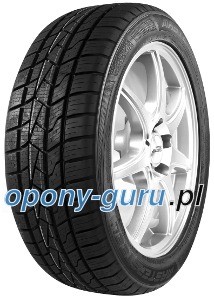 Mastersteel All Weather 165/65R14 79T 282242