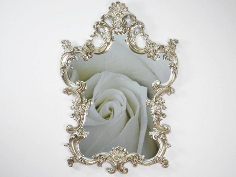 d2.design Lustro wiszące Luis 76x110 srebrny 81174