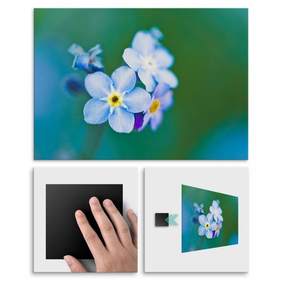 Pix4home Plakat metalowy niebieski kwiat M POS-M-01290