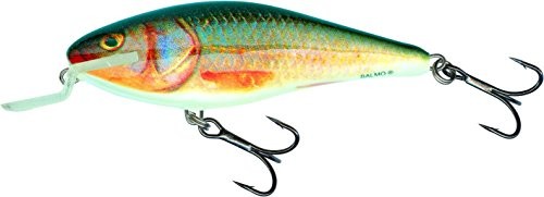 Salmo Executor wobler Shallow Runner RR Real Roach, brązowy RV-IEX7SR-RR