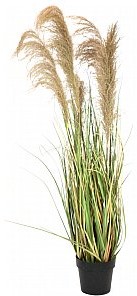 Europalms EUROPALMS Chińska trawa srebrzysta, sztuczna, 140cm 82600187