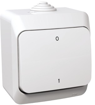 Schneider CEDAR-PLUS-Łącznik-2-biegunowy-IP44-biały WDE000520