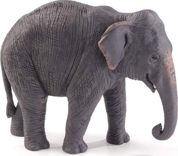 Animal Planet Figurka Figurka Słoń indyjski 313050-uniw