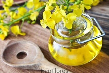 Ecoflores OLEJ CANOLA OL.CANOL