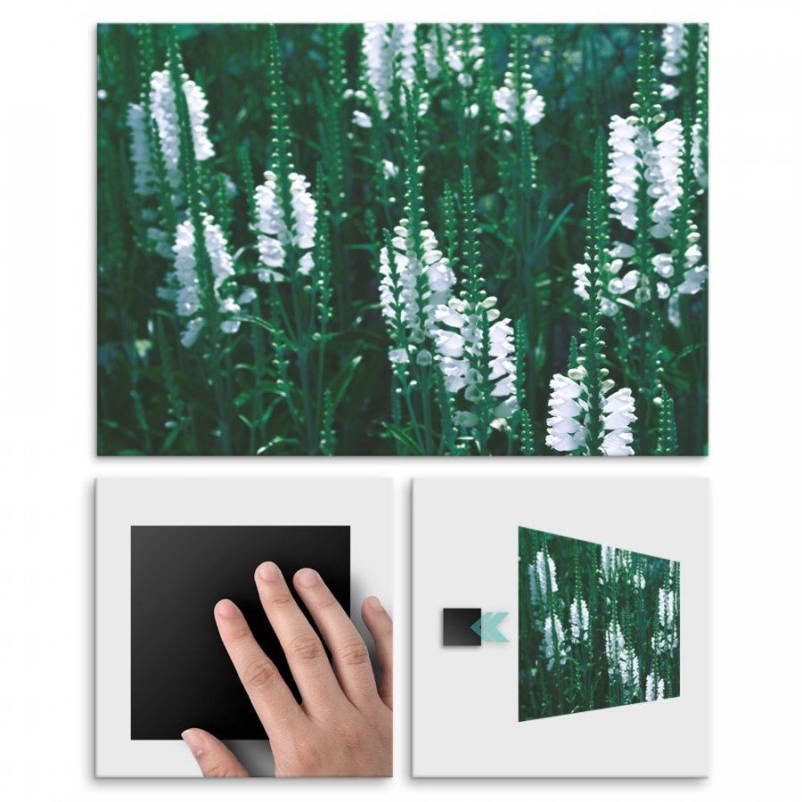 Pix4home Plakat metalowy biały kwiat L POS-L-01223