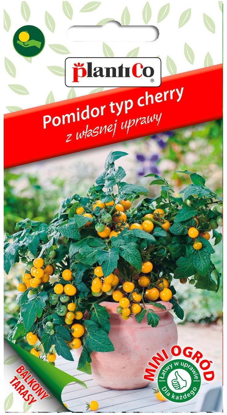 Plantico Pomidor cherry żółty Mini Ogród