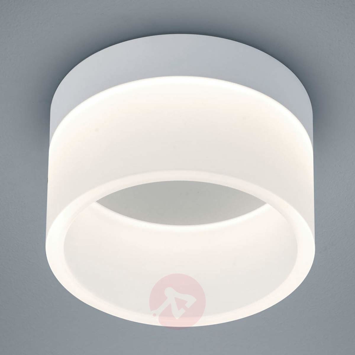Helestra Liv lampa sufitowa LED 15 cm