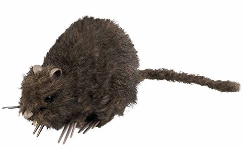 Boland boland 72162 dekoracja szczur szkielet, 15 x 8 cm