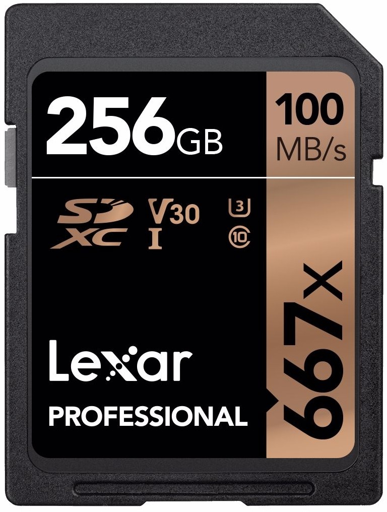 Lexar Professional 256GB (111205)