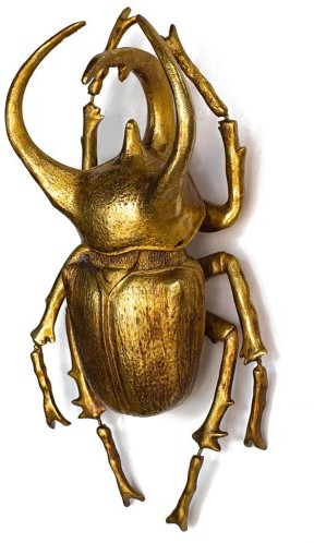 Kare Design Dekoracja ścienna ATLAS BEETLE złota KH.42291