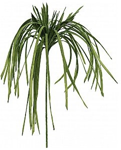 Europalms EUROPALMS Trawa morska (EVA), sztuczna, zielona 82531062