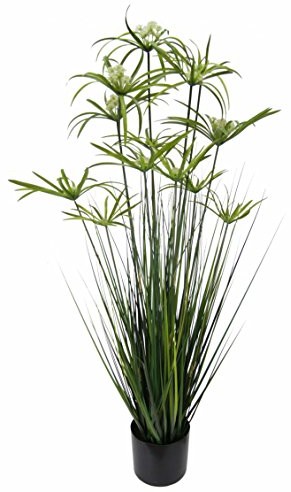 Flair Flower cypryjskiej trawy bezwodnej masie, tworzywo sztuczne 151418GN