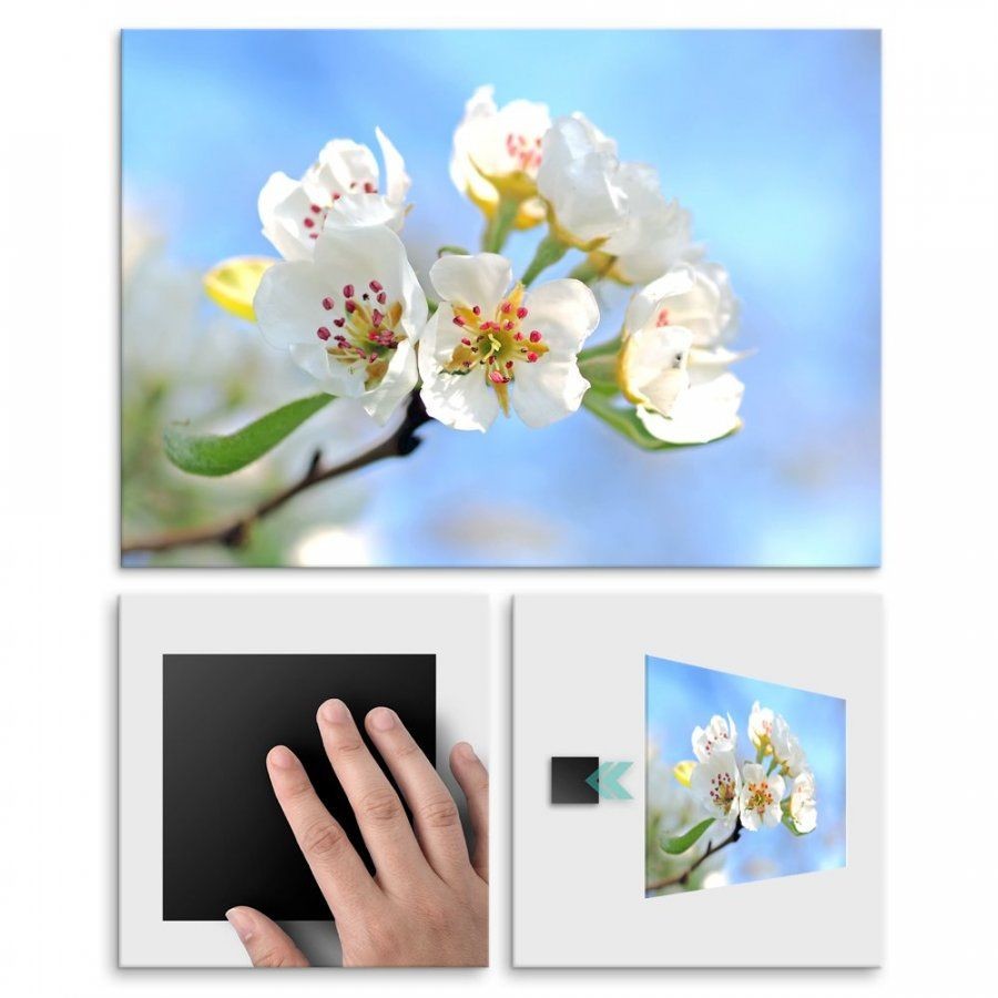 Pix4home Plakat metalowy białe kwiaty L POS-L-01262