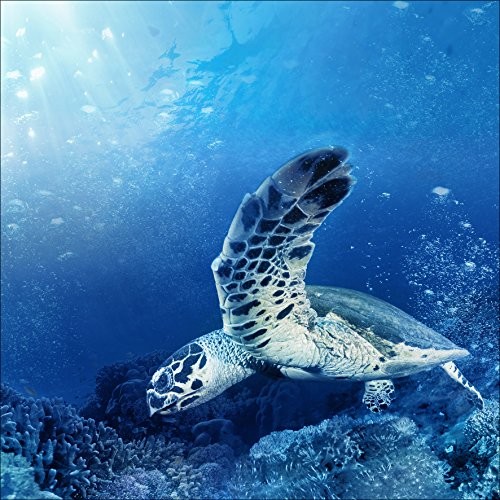 Pro-Art-Bilderpalette Pro-Art gla1078ze obraz na ścianę Glas-Art 