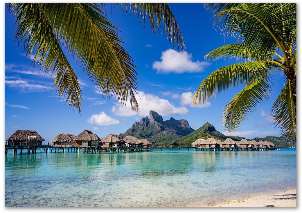 Foto obraz akryl Palmy na Bora Bora