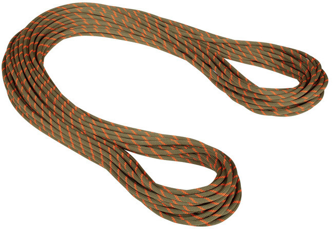 Mammut 8.0 Alpine Dry Rope 50m, boa-safety orange 2021 Liny połówkowe 2010-04350-11240-1050