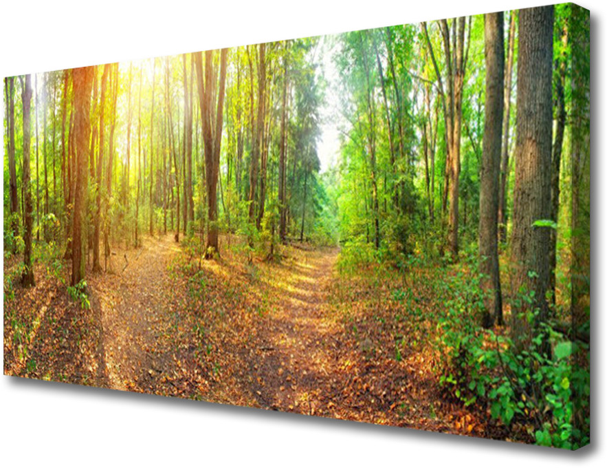 PL Tulup Obraz Canvas Słońce Natura Ścieżka Leśna 140x70cm