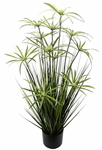 Flair Flower cypryjskiej trawy bezwodnej masie, tworzywo sztuczne 151417GN