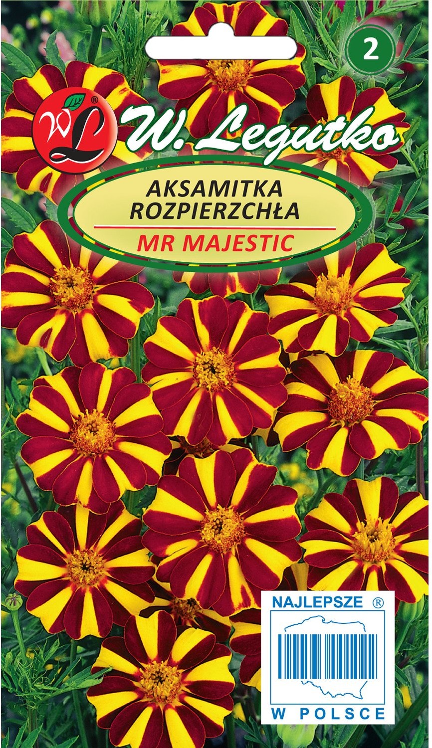 Legutko Aksamitka rozpierzchła Mr. Majestic