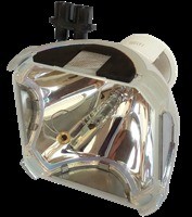 Ushio Lampa do NSH250E - oryginalna lampa bez modułu NSH250W P22