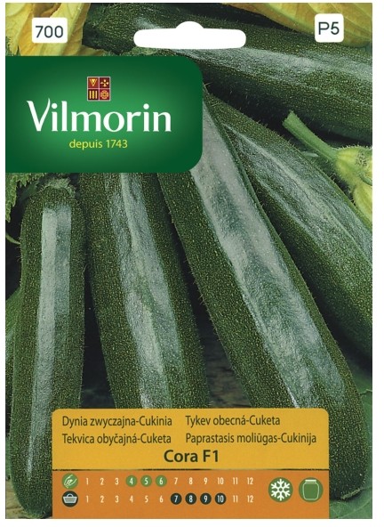 Vilmorin Nasiona cukinia Cora mieszaniec