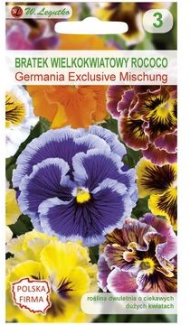 Legutko Bratek wielkokwiatowy Rococo GERMANIA EXCLUSIVE MISCHUNG