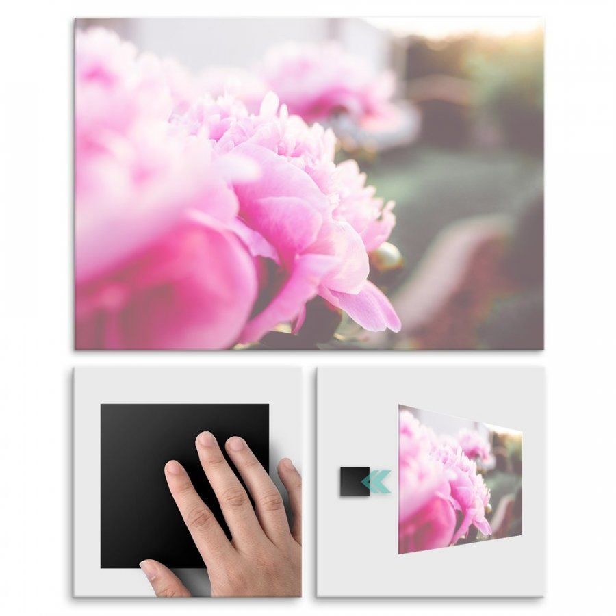 Pix4home Plakat metalowy delikatność kwiatu L POS-L-01345