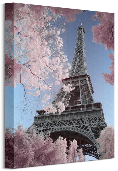 Pyramid Posters Eiffel Tower Infrared, Paris - Obraz na płótnie WDC92688