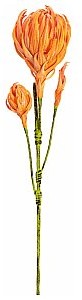 Europalms EUROPALMS Kwiat Dahlias Branch (EVA), sztuczny, pomarańczowy 82530582