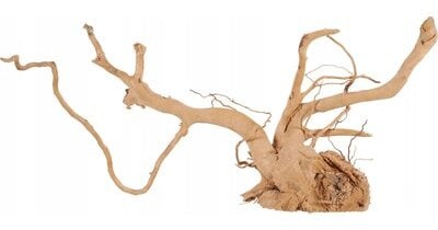 Zolux Dekoracja akwarystyczna Spider Wood 356053 50 60 cm)