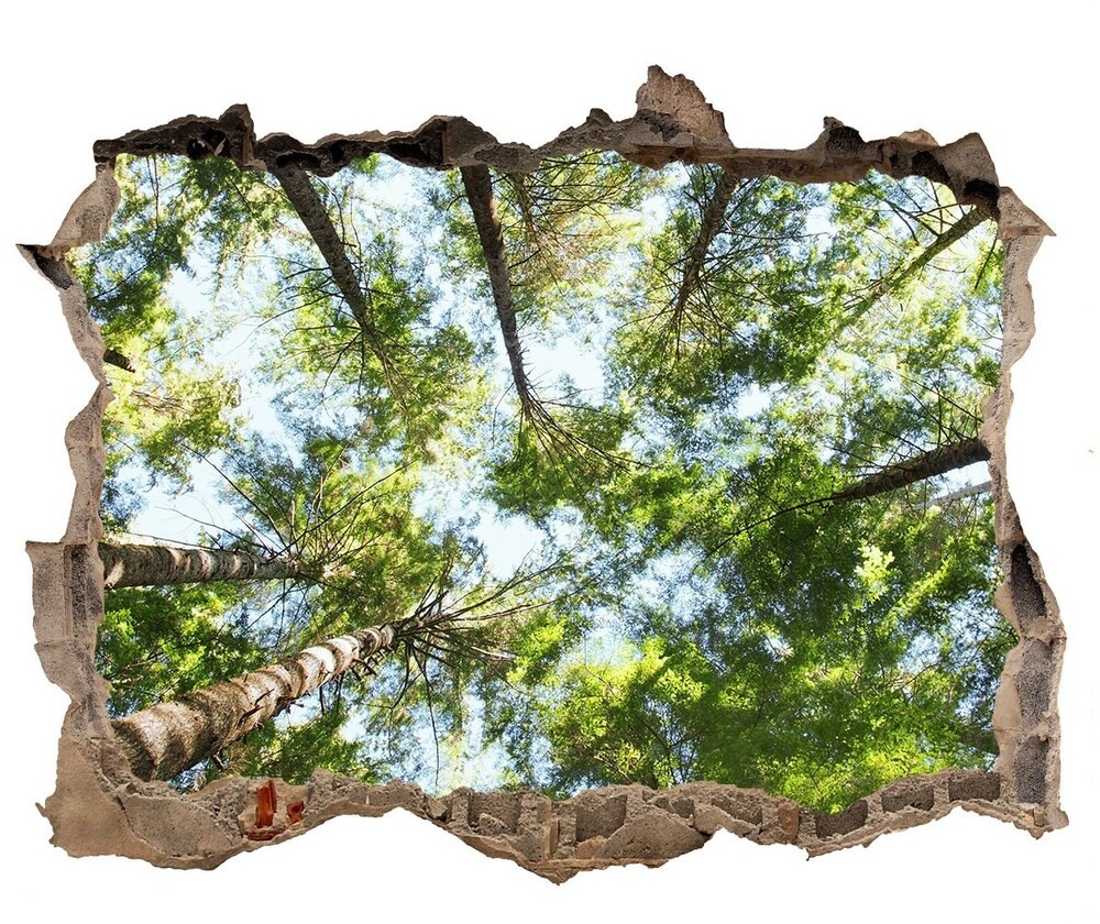 Wallmuralia.pl Dziura 3d w ścianie na ścianę Korona drzew