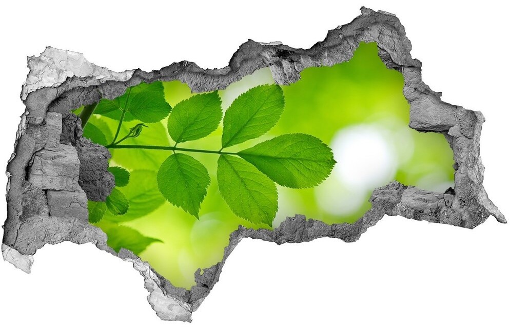 Wallmuralia.pl Samoprzylepna dziura na ścianę Zielone liście