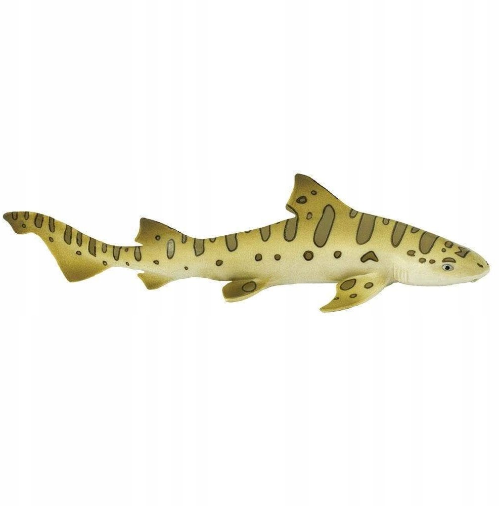 Safari Rekin Leopardzi - Leopard Shark Ltd. 274929