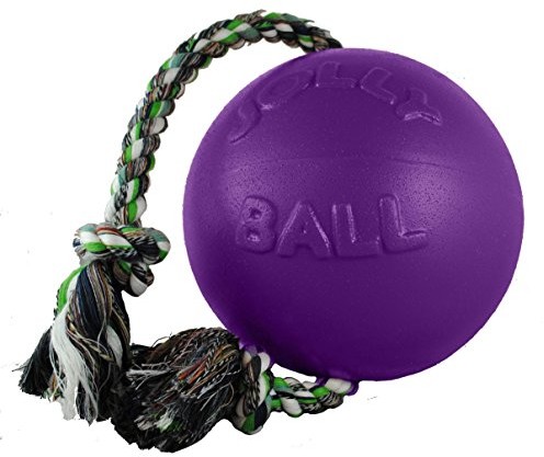 Jolly Pets romp-N-Roll ball, 15,2 cm, fioletowy