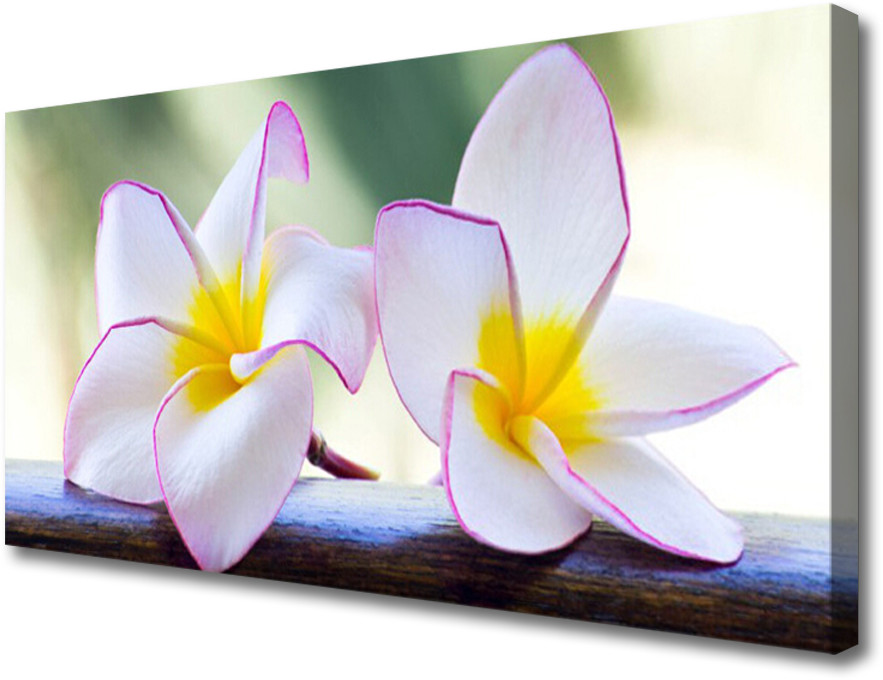 PL Tulup Obraz Canvas Kwiaty Płatki Plumeria 140x70cm