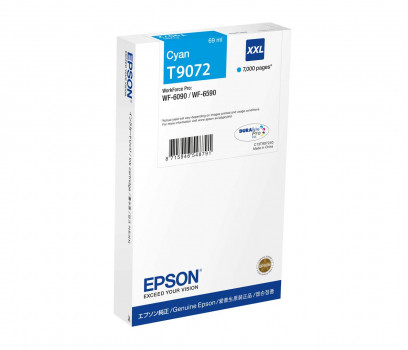 Epson T9072 (C13T907240)