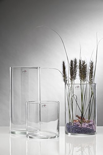 Sandra Rich Glasvase CYLI szklany wazon stołowy, cylinder, 20 cm