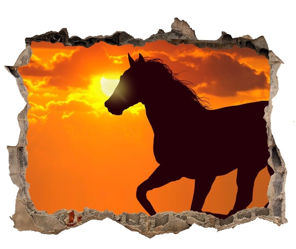 Wallmuralia.pl Dziura 3d fototapeta na ścianę Koń zachód słońca