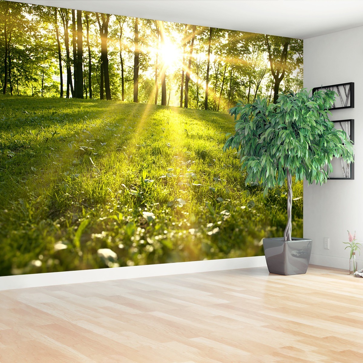 Fototapeta Las Słońce