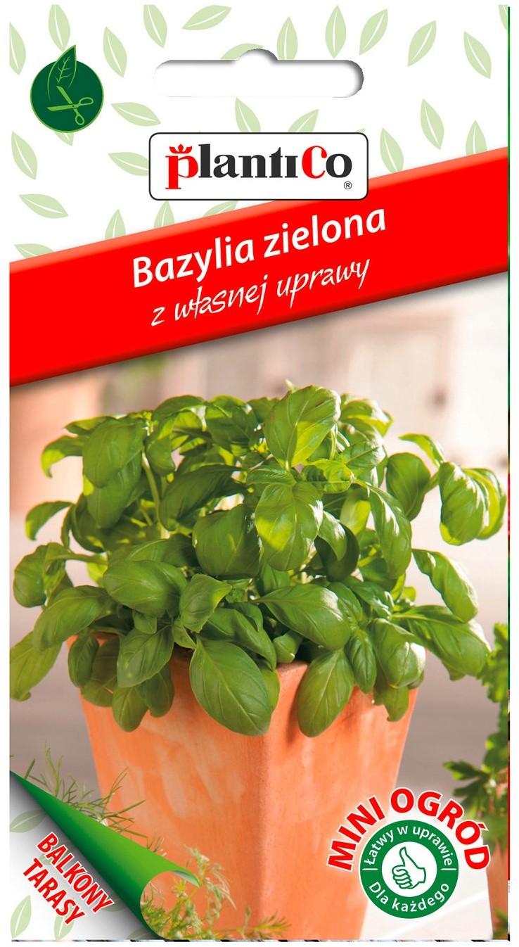 Plantico Bazylia zielona Mini Ogród