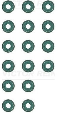 REINZ Zestaw uszczelniaczy, trzonek zaworu 12-33512-02