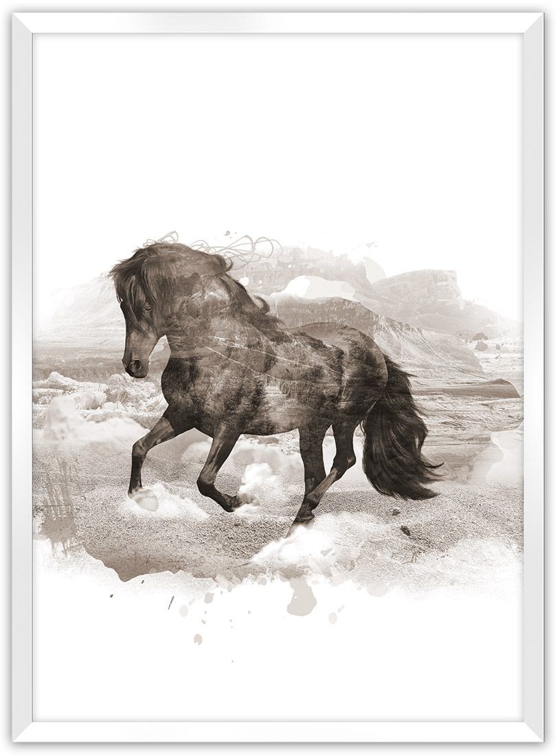 Dekoria Dekoria Plakat Horse 21 x 30 cm Ramka Biała 218D-000-27